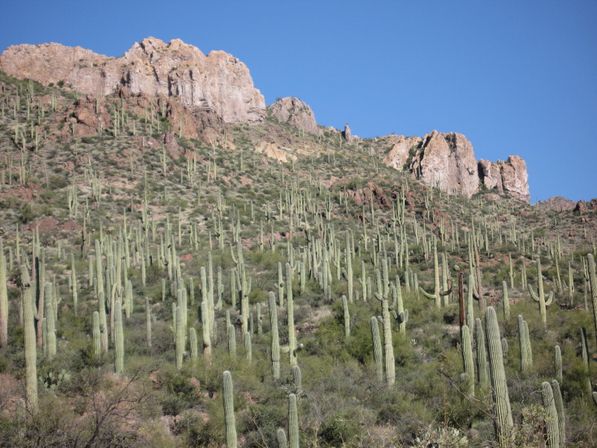 Ghost Town with Off Road Tour in the Desert image 4