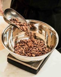 Bean-to-Bar: Group Chocolate Making Experience in Brooklyn image 3
