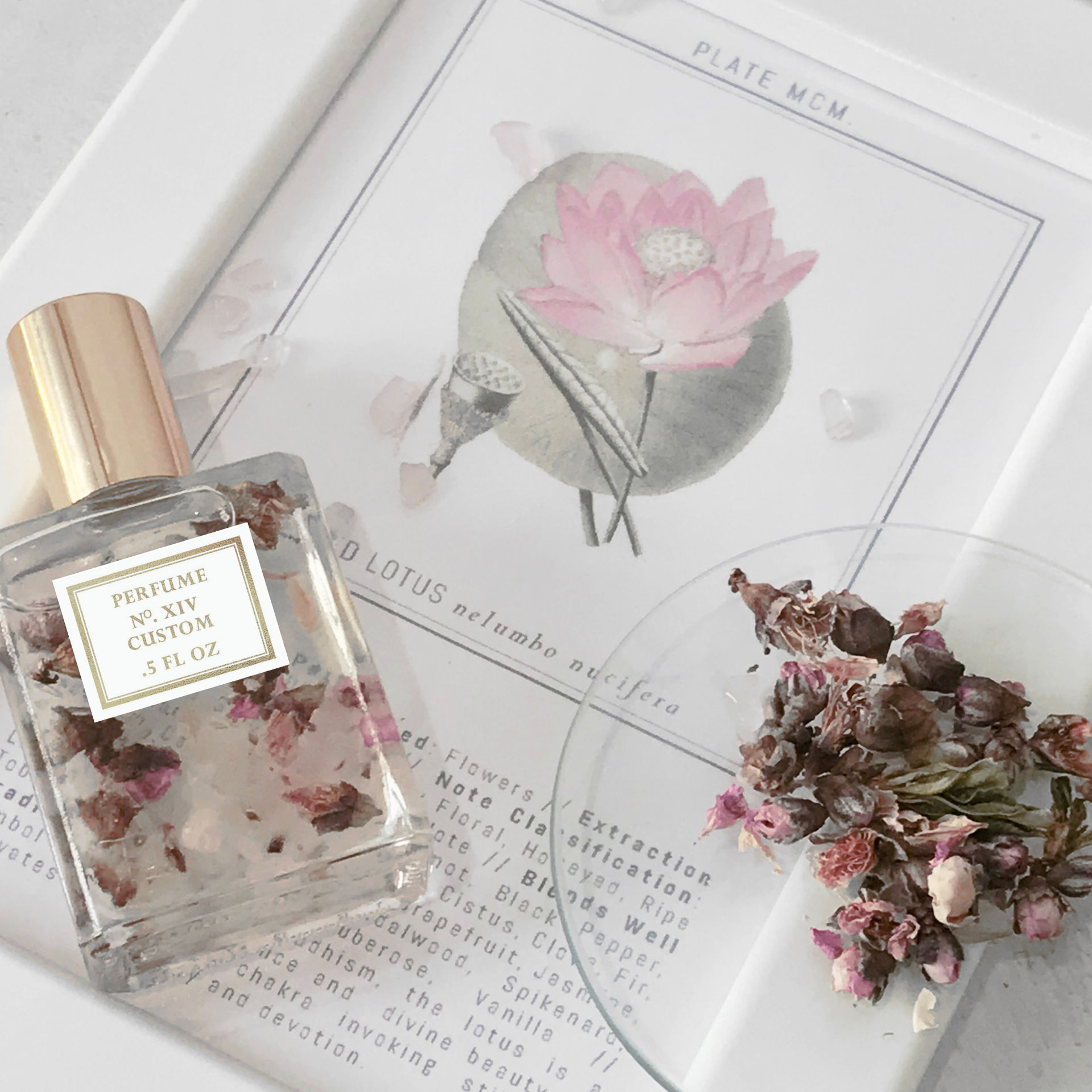 Scent Soiree: Perfume Workshop to Craft Signature Fragrances with Friends image 1