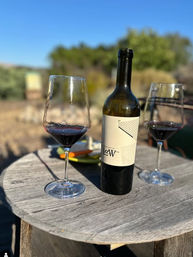 Ride, Sip & Explore: A Vineyard Cycling Adventure at Ancient Peaks image 2