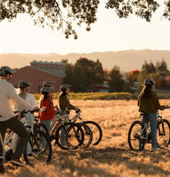 Ride, Sip & Explore: A Vineyard Cycling Adventure at Ancient Peaks image 3
