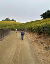 Ride, Sip & Explore: A Vineyard Cycling Adventure at Ancient Peaks image 10