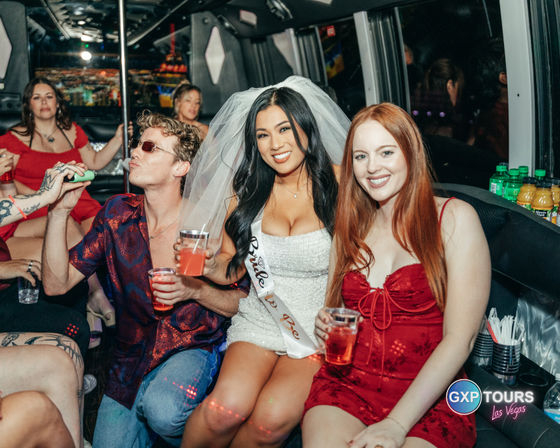Nightclub on Wheels: Lounge Entry, Private Party Bus with Free Drinks + Photo Stop & Nightclub of Your Choice with Free Entry image 1