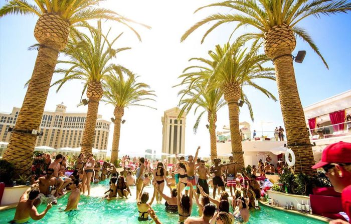 The Fire Pool Party: Limo Transportation, Brunch + Bottomless Drinks & Beach Club Entry image 15