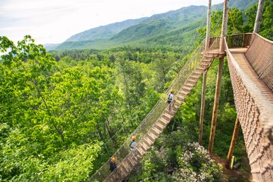 Mountaintop Zipline & ATV Tour through the Great Smoky Mountains image 21