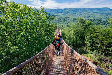 Mountaintop Zipline & ATV Tour through the Great Smoky Mountains image 14
