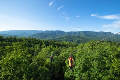 Mountaintop Zipline & ATV Tour through the Great Smoky Mountains image 20