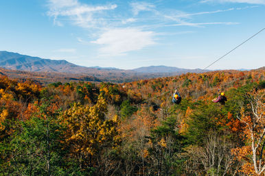 Mountaintop Zipline & ATV Tour through the Great Smoky Mountains image 15