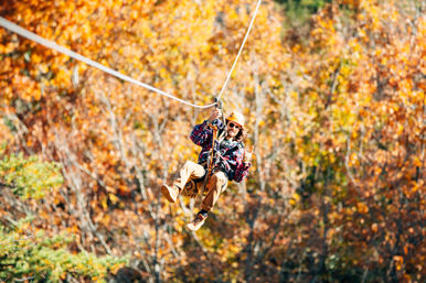 Mountaintop Zipline & ATV Tour through the Great Smoky Mountains image 23