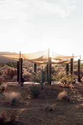 Sunset Sacred Cacao Ceremony in the Heart of the Joshua Tree Vortex or at Your Vacay Rental image 8