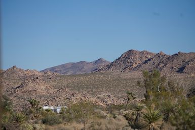 Sunset Sacred Cacao Ceremony in the Heart of the Joshua Tree Vortex or at Your Vacay Rental image 7