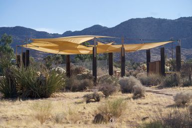 Sunset Sacred Cacao Ceremony in the Heart of the Joshua Tree Vortex or at Your Vacay Rental image 6