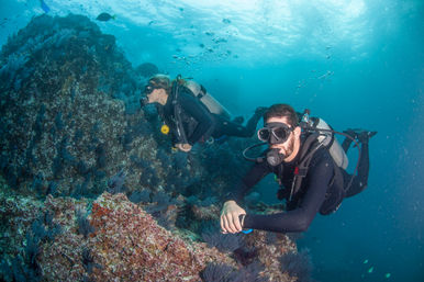 Learn to Scuba Dive with PADI-Certified Instructors (Up to 6 People) image 5