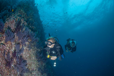 Learn to Scuba Dive with PADI-Certified Instructors (Up to 6 People) image 6