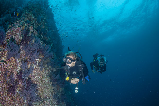 Learn to Scuba Dive with PADI-Certified Instructors (Up to 6 People) image 6