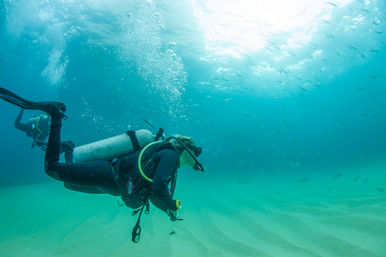 Learn to Scuba Dive with PADI-Certified Instructors (Up to 6 People) image 8
