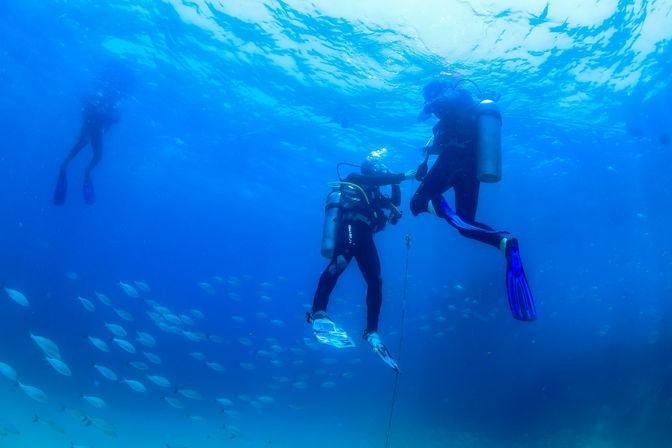 Learn to Scuba Dive with PADI-Certified Instructors (Up to 6 People) image 3