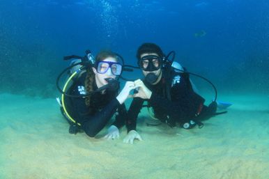 Learn to Scuba Dive with PADI-Certified Instructors (Up to 6 People) image 13