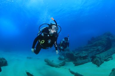 Learn to Scuba Dive with PADI-Certified Instructors (Up to 6 People) image 18