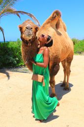 Combo Boat Ride to the Famous Arch, Camel Ride on the Beach & Mexican Buffet Lunch image 4