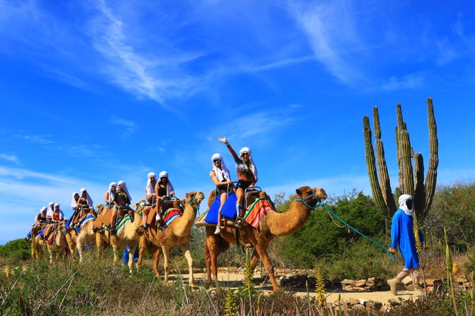 Combo Boat Ride to the Famous Arch, Camel Ride on the Beach & Mexican Buffet Lunch image 14