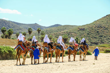 Combo Boat Ride to the Famous Arch, Camel Ride on the Beach & Mexican Buffet Lunch image 10