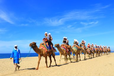 Combo Boat Ride to the Famous Arch, Camel Ride on the Beach & Mexican Buffet Lunch image 11