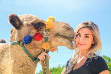 Combo Boat Ride to the Famous Arch, Camel Ride on the Beach & Mexican Buffet Lunch image 12