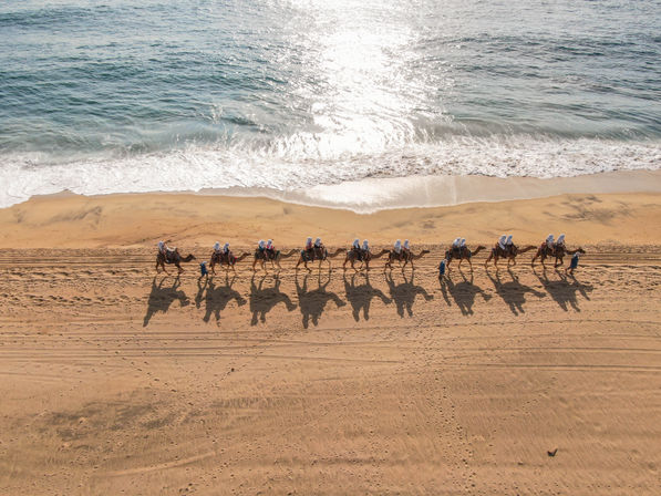 Combo Boat Ride to the Famous Arch, Camel Ride on the Beach & Mexican Buffet Lunch image 8