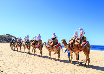 Combo Boat Ride to the Famous Arch, Camel Ride on the Beach & Mexican Buffet Lunch image 9