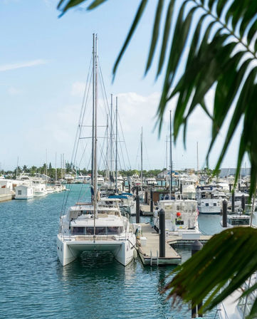 41' Bali Sailing Catamaran Charter in Key West image 2