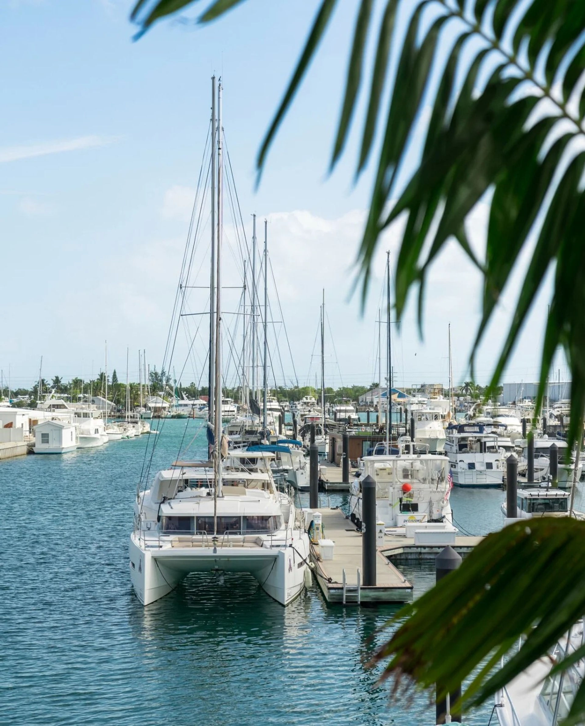 41' Bali Sailing Catamaran Charter in Key West image 2
