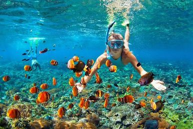 Private Party Boat with Snorkeling, Lunch, Unlimited Drinks & Sand-Bar image 4
