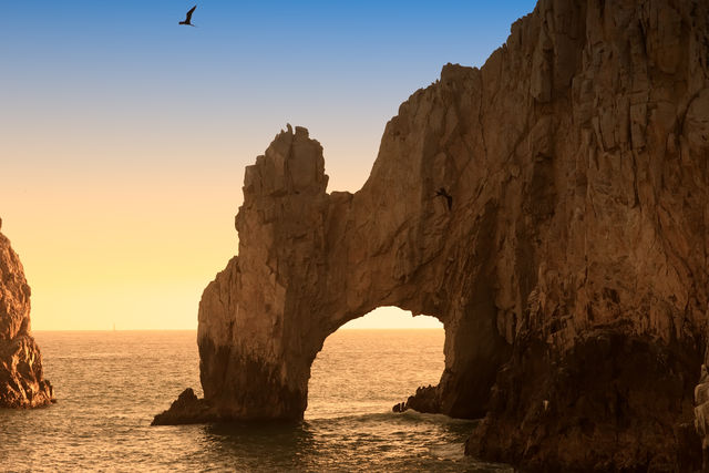 Breathtaking Sunset Sailboat Cruise through El Arco, Lovers Beach and the Sea Lion Colony image 4