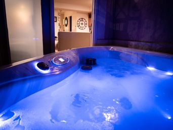 VIP Lodging Bundle: “Vine Street Retreat”— Sleeps 20, Prime Location, 420-Friendly image 6