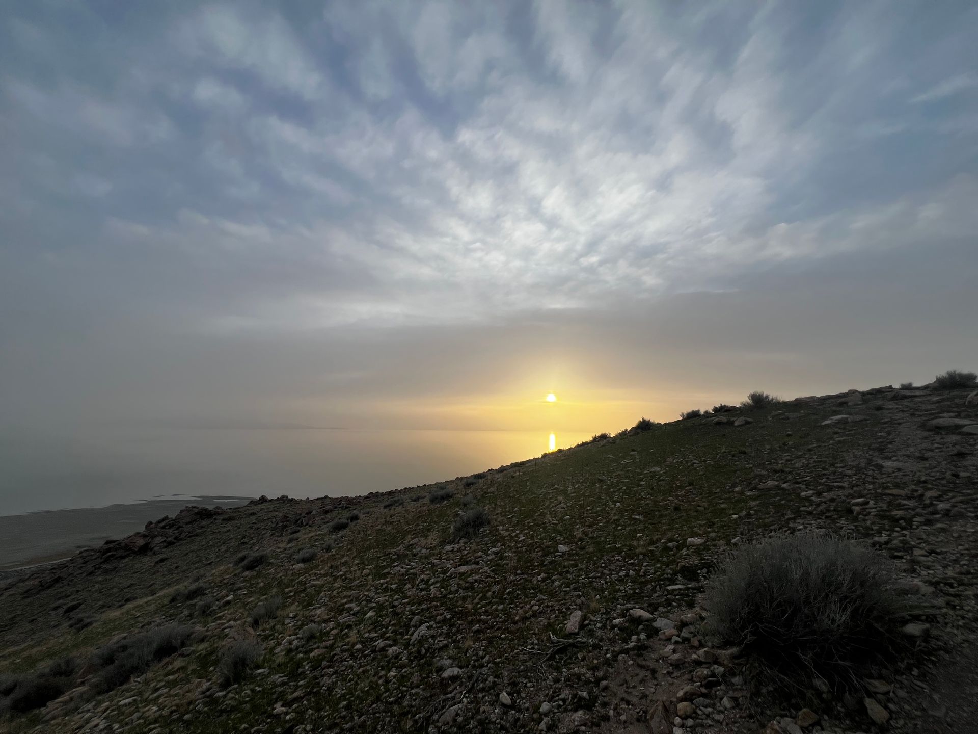 Private Wildlife & Scenic Tour to Antelope Island image 2