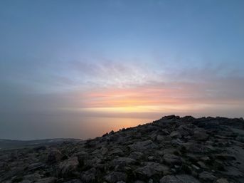 Private Wildlife & Scenic Tour to Antelope Island image 5