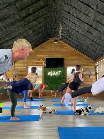 Goat Yoga Class at Alaska Farms with Adorable Mini Goats, Mats Provided, and Endless Photo Ops image 5