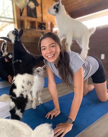 Goat Yoga Class at Alaska Farms with Adorable Mini Goats, Mats Provided, and Endless Photo Ops image 2