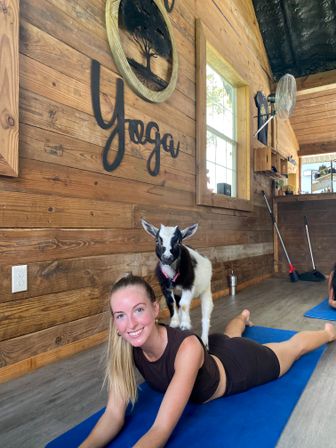 Goat Yoga Class at Alaska Farms with Adorable Mini Goats, Mats Provided, and Endless Photo Ops image 12