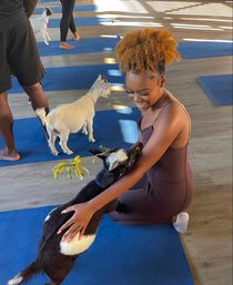 Goat Yoga Class at Alaska Farms with Adorable Mini Goats, Mats Provided, and Endless Photo Ops image 4