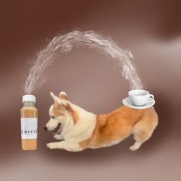 Kuzco's Mobile Coffee Shop: On-Site Caffeine Fix for Your Crew image 12
