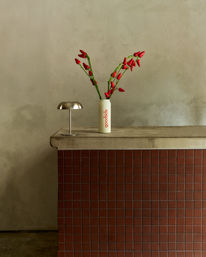 Minimalist interior scene with a concrete countertop and red square-tiled front, a cream cylindrical vase holding tall green stems with red buds, and a small brushed-metal table lamp against a textured neutral plaster wall.