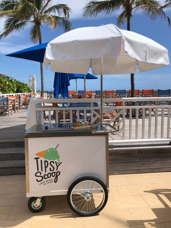 Insta-Worthy Boozy Ice Cream Cart Setup by Tipsy Scoop (50 Guest Minimum) image 10