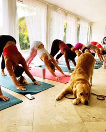 Custom Yoga Class with Fun Playlists, Mimosa Add-Ons, and Cold Lavender Eye Towels image 8