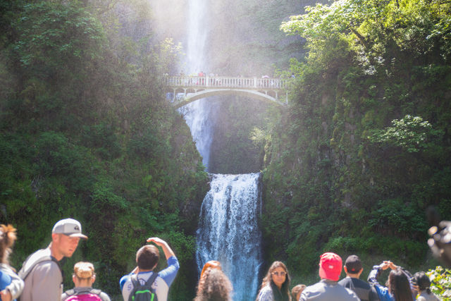 Hop-On Hop-Off Trolley Tour of World-Famous Waterfall Corridor Along the Historic Columbia River Highway image 4