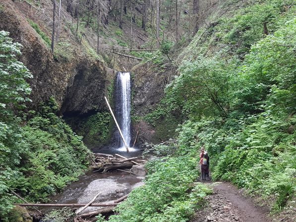 Hop-On Hop-Off Trolley Tour of World-Famous Waterfall Corridor Along the Historic Columbia River Highway image 20