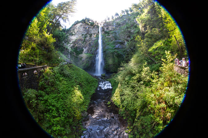 Hop-On Hop-Off Trolley Tour of World-Famous Waterfall Corridor Along the Historic Columbia River Highway image 24