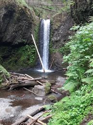 Hop-On Hop-Off Trolley Tour of World-Famous Waterfall Corridor Along the Historic Columbia River Highway image 21