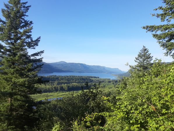 Hop-On Hop-Off Trolley Tour of World-Famous Waterfall Corridor Along the Historic Columbia River Highway image 23